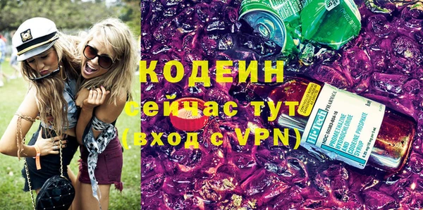 индика Кодинск