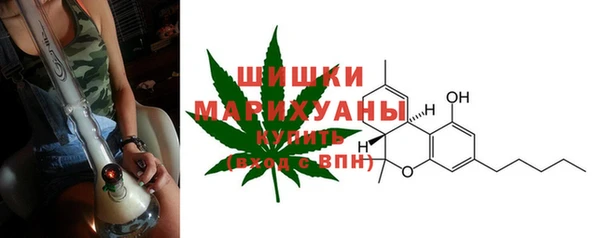 прущий лед Козловка