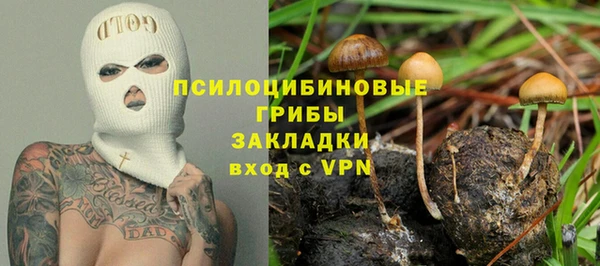 индика Кодинск