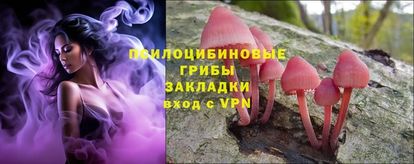 индика Кодинск