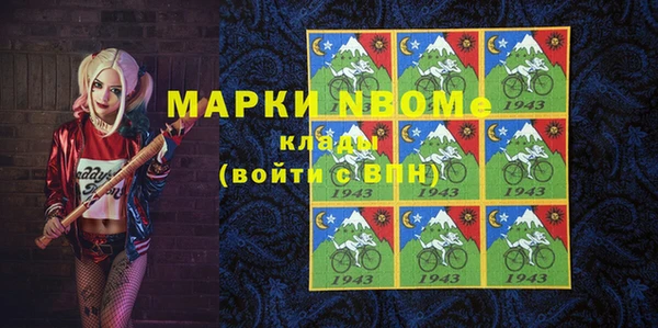 индика Кодинск